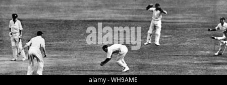 D R Jardine né 1900 action . Jardine's leg trap à Sydney en 1932 lorsque l'Angleterre a gagné par 10 guichets. Fingleton est le batteur, l'Ames wicket keeper, et les quatre pattes courtes sont Jardine, O G R E S S, Allen Wyatt et Hammond Banque D'Images