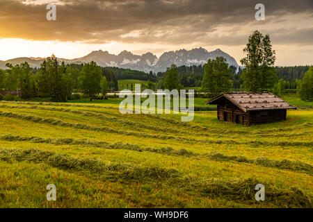 Vue sur le Wilder Kaiser de Schwarzsee près de Kitzbühel, Tyrol, Autriche, Europe Banque D'Images