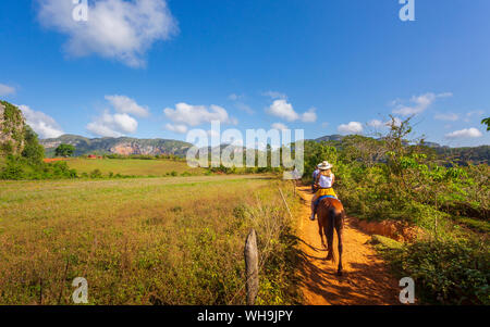 Les touristes sur un cheval à la visite de Parc National de Vinales, UNESCO World Heritage Site, province de Pinar del Rio, Cuba, Antilles, Caraïbes, Amérique Centrale Banque D'Images