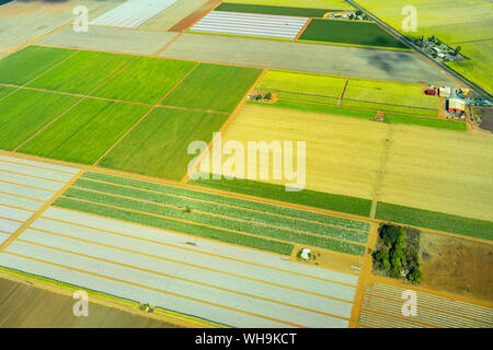 Vue aérienne de vert des champs cultivés et de fermes dans le Queensland, Australie Banque D'Images