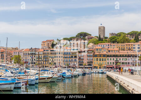 Le Vieux Port Harbour à Cannes, Alpes Maritimes, Côte d'Azur, Provence, Côte d'Azur, France, Europe, Méditerranée Banque D'Images