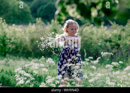 Portrait of smiling little girl Playing with seeds de blowball Banque D'Images