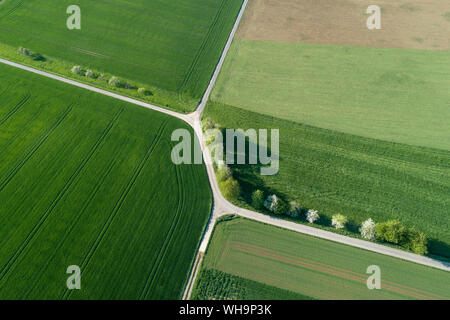 Vue aérienne de treelined road avec intesection à travers les champs agricoles, Franconia, Bavaria, Germany Banque D'Images