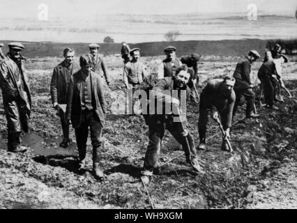 WW1 : les objecteurs de conscience de Dartmoor sont vu professedly la culture du sol, mais ils passent beaucoup de temps en congé ou flâner sur les maures, le tabagisme, la lecture et la conversation. Avril 1917. Banque D'Images