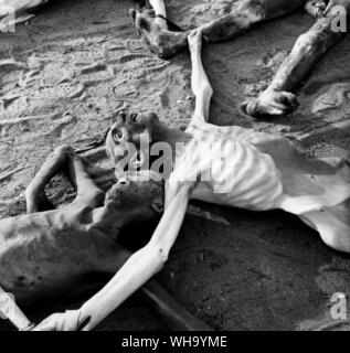 WW2 : camp de concentration de Belsen, 17 avril 1945. Close-up of a Jew's corps avec les bras tendus. . Banque D'Images