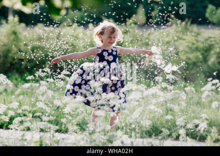 Portrait of smiling little girl Playing with seeds de blowball Banque D'Images