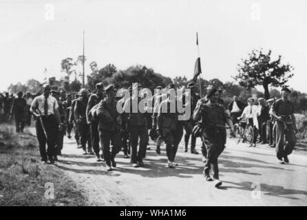 WW2 : grande partie d'allemands capturés par les membres de l'IFF, venir en sous bonne garde d'un camp de prisonniers de guerre près de Guingamp, Bretagne. Officier français à porter le drapeau de la Lorraine ouvre la voie. Banque D'Images