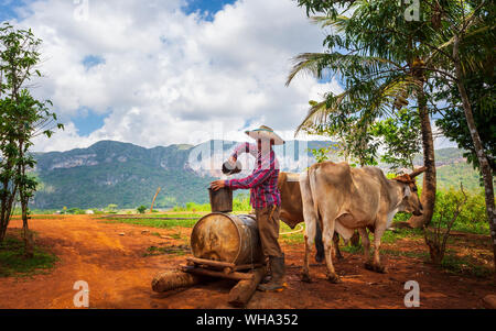 Vêtements de travail avec les agriculteurs tirent l'eau des vieux puits dans le Parc National de Vinales, l'UNESCO, la province de Pinar del Rio, Cuba, Antilles, Amérique Centrale Banque D'Images