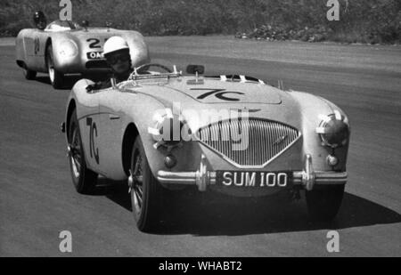 Une Austin Healey 100 à Silverstone en 1955. Derrière elle est un bouclier DD-1 Banque D'Images