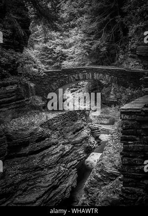 De l'autre côté du gouffre, le parc d'état Robert H Treman Banque D'Images