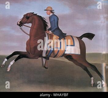 Flying Childers est considéré comme le premier vrai grand cheval dans l'histoire de la jument pur-sang. En cela, il suit son grand-père maternel (vieux) imprudents, qui était le meilleur cheval de course depuis son propre père, Brigantine, qui ont couru à l'époque de Charles II. Flying Childers a été produites par le colonel Leonard Childers de Cantley Hall, Doncaster, dans le Yorkshire, dont le père Richard Darley Arabian's, importés d'Alep, Syrie autour de 1704. Darley Arabian Bay a gardé sa principalement comme un étalon privé à Aldby Park dans le Yorkshire, mais a accepté un peu à l'extérieur, y compris les mares Childer mare Betty Leedes.. Banque D'Images