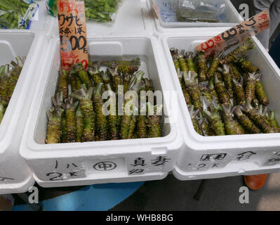 Japon - photo de Sean Sprague Marché de Tsukiji, à Tokyo. Frais de vente décrochage wasabi. Banque D'Images