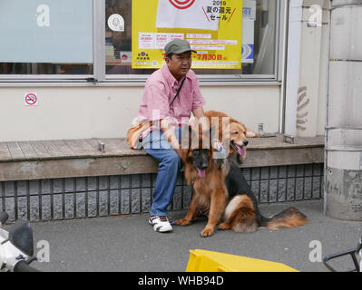 Japon - photo de Sean Sprague Marché de Tsukiji, à Tokyo. L'homme avec les chiens. Banque D'Images