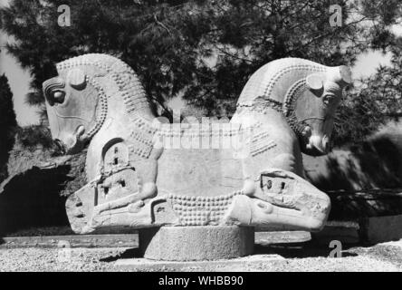 Palais Apadana , Persepolis : ancienne ville de Perse , capitale de l'Empire perse , fondée par Darius . Près de Shiraz, Iran moderne . . Bull à deux têtes sculptures ont été utilisés pour décorer le dessus des colonnes du Palais Banque D'Images