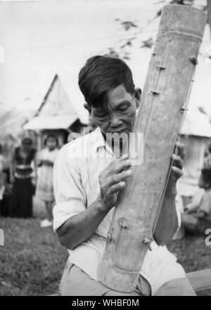 L'homme jouant un tongkunon une cithare en bambou à Mogong Bornéo du Nord Banque D'Images