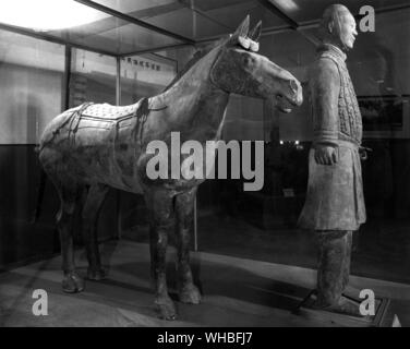 Premier Empereur de Chine : Cheval de cavalerie et statue Banque D'Images