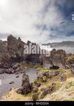 Black lava Pearl Beach, Islande, Fjords de l'Ouest Banque D'Images