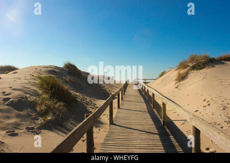 Un moment de calme sur le chemin de la plage à Aveiro, Portugal. Banque D'Images