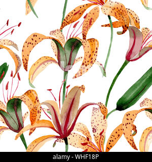 Maculantum lilium Orange botanique floral fleurs. Illustration à l'aquarelle. Motif de fond transparent. Banque D'Images
