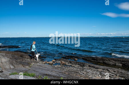 Female hiker avec promenade de chiens à côté du lac Banque D'Images