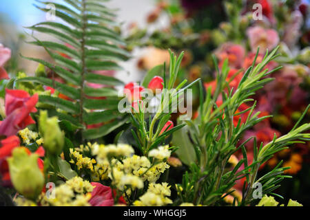 Une série de photos d'arrangements floraux colorés et luxuriants de fleurs, de fougères et d'herbes Banque D'Images