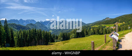 Paysage d'été ensoleillée avec Cambrai route panoramique, Logarska Dolina,Slovénie.Une destination touristique populaire et voyage en Slovénie, Europe Banque D'Images