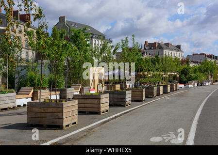 Nantes, provisorische Bepflanzung des Loire-Kais Banque D'Images