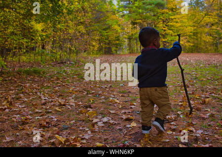 Un bambin explore avec l'utilisation d'un bâton de marche en forêt durant une journée ensoleillée à l'automne. Banque D'Images