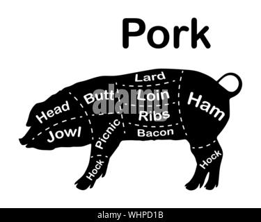 - Coupes de viande de porc. Diagrammes pour boucherie. Schéma de la viande de porc. Silhouette animale du porc. Guide pour la coupe. Vector illustration. Illustration de Vecteur