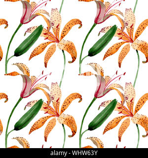 Maculantum lilium Orange botanique floral fleurs. Illustration à l'aquarelle. Motif de fond transparent. Banque D'Images