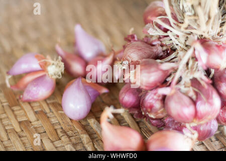 Echalote oignon dans un groupe Banque D'Images