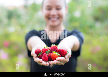 Smiling woman holding les fraises au jardin. Mûr et frais, préparée à partir de la ferme Banque D'Images