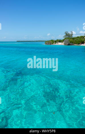 Clair comme de l'eau de mer turquoise des Caraïbes, sur la côte de Caye Caulker, Belize. Banque D'Images