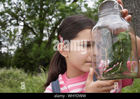 Petite fille curieuse examinant stick les insectes dans l'extérieur jar Banque D'Images