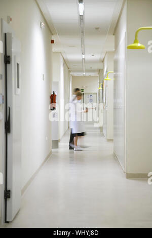 Vue latérale sur toute la longueur des scientifiques, hommes et femmes marchant dans le couloir Banque D'Images