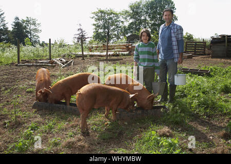 Portrait d'un homme et garçon avec des porcs dans le sty Banque D'Images