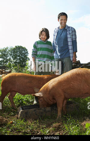 Heureux père et fils en regardant les cochons mangent en sty Banque D'Images