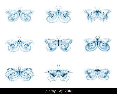Série Papillons fractale. Interaction des papillons fractale isolé sur le sujet de la science, la créativité et la conception Banque D'Images