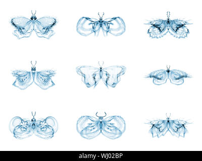Série Papillons fractale. Interaction des papillons fractale isolé sur le sujet de la science, la créativité et la conception Banque D'Images