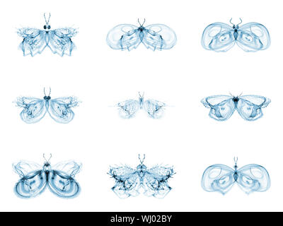 Série Papillons fractale. Interaction des papillons fractale isolé sur le sujet de la science, la créativité et la conception Banque D'Images