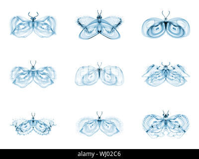 Série Papillons fractale. Interaction des papillons fractale isolé sur le sujet de la science, la créativité et la conception Banque D'Images