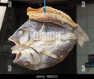 Le poisson séché, marché, Paotere, Makassar, Sulawesi, Indonésie Banque D'Images