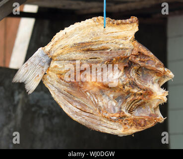 Le poisson séché, marché, Paotere, Makassar, Sulawesi, Indonésie Banque D'Images