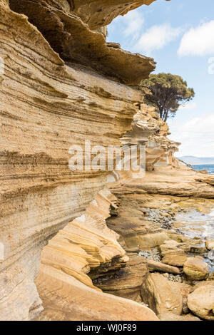 Des formations de roche de grès tourbillonnantes du Painted Cliffs, Maria Island, Tasmanie, Australie Banque D'Images