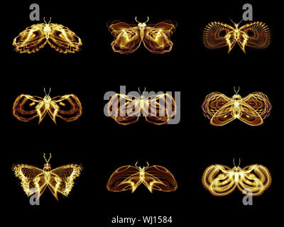 Série Papillons fractale. Arrangement des papillons fractale isolé sur le sujet de la science, la créativité et la conception Banque D'Images