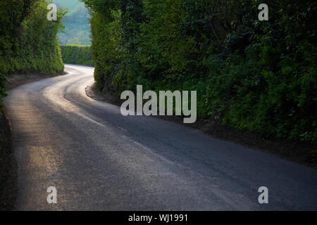 Pays courbe Route à travers la forêt épaisse Banque D'Images