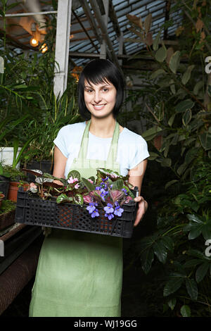 Portrait of young female botanist transportant crate plein de plantes à fleurs les émissions de Banque D'Images