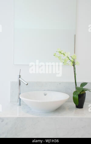 Libre d'un lavabo et de plante en pot dans la salle de bains Banque D'Images