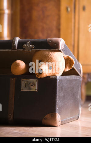 Libre d'un ours dans la valise sur le plancher à la maison Banque D'Images