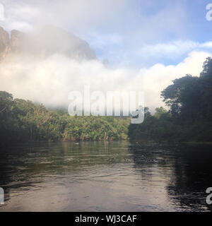 Une faible nébulosité sur les rives d'un fleuve tropical dans la jungle. Banque D'Images